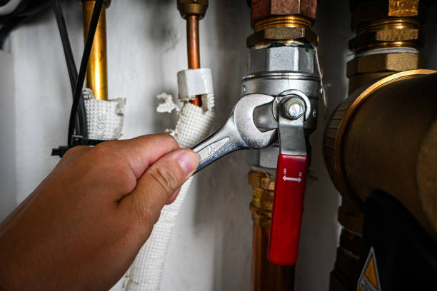 Best Toilet Repair Services  in Canyon Day, AZ